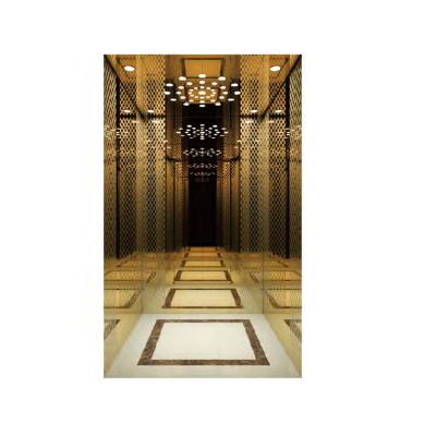 China Modern 450kg Passenger Elevator Gold Passenger Elevator Round Elevator Lifts Homes Passenger Elevator for sale