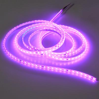 China Hotel youlumi amazon shine music hot selling super time proof outside digital led strips for sale