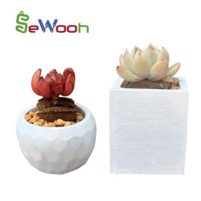 China CONCRETE MINI ROOM DECOR ADULT DIY FLOWER POT FOR LIVING ROOM GARDEN for sale