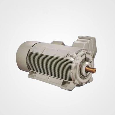 China Low Voltage Totally Enclosed Hot Fan Cooled Closed Squirrel-cage Electric Motor Sales for sale