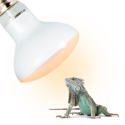 China Sustainable Customizable Lizard Heat Lamp Bulb UVA Basking Spot Heat Lamp for sale