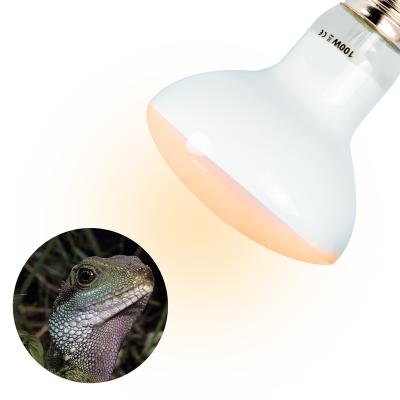 China Original Plant Viable General Lighting Reptile Aquarium Light UVA Reptile Bulb for sale