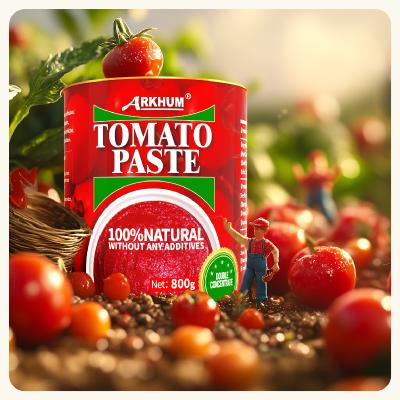 China Tomatenmasse mit Protein 5,3 g pro 100 g Kohlenhydrate 20,7 g pro 100 g und mehr zu verkaufen