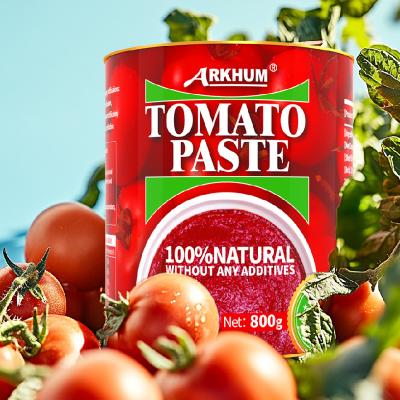 China Puré de tomate de lata original de 70 g Salsa de tomate de pizza enlatada en venta