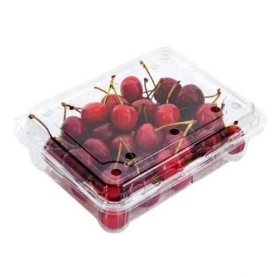 China Factory outlet classic transparent plastic food packaging box fruit vegetable plastic packaging box for sale