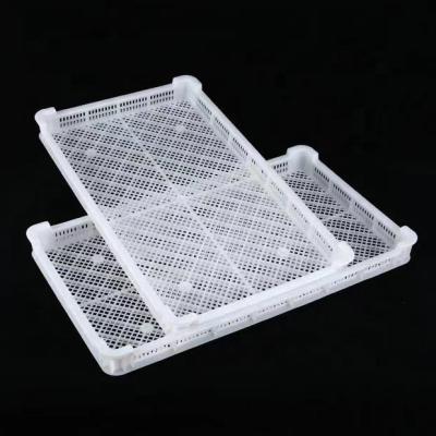 China Recycled Plastic Materials PE Drying Trays For Packaging for sale