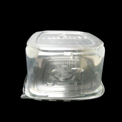 China WHOLESALE Clear Disposable Lid PET Disposable 10 Inch Round Shape Dome Plastic Cake Packaging Box for sale