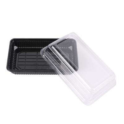 China Japan HOT SALE Rectangle Shape Disposable PET Material Plastic Sushi Box for sale