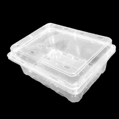 China 700g Disposable Flesh Fruit Packaging Disposable PET Blister Plastic Fruit Box ACCEPT CUSTOM MADE for sale