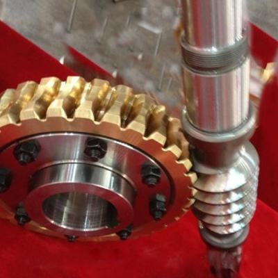 China Gearbox China Customized Machinery Accessories Worm Gear for sale