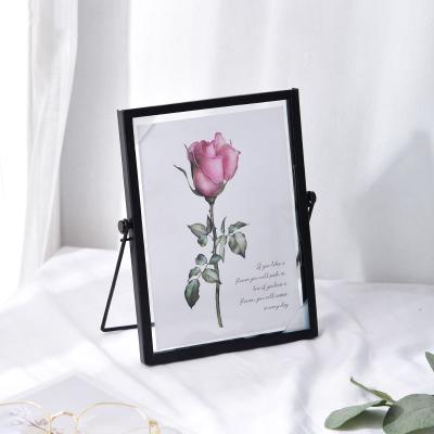 China Tabletop Dongjin Dried Flower Plant Specimen Photo Frame Retro DIY Glass-metal Frame Creative Picture Frame for sale