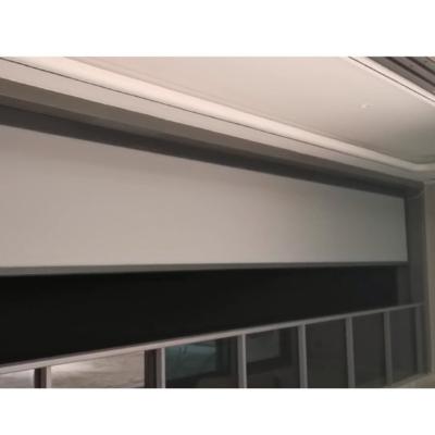 China 2022 Latest Contemporary Electric Motorized Outdoor Smart Windproof And Waterproof Fabric Roller Blinds for sale