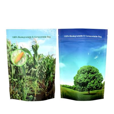 China Biodegradable PLA Kraft Paper Custom Printing Biodegradable Food Packaging Stand Up Pouch for sale