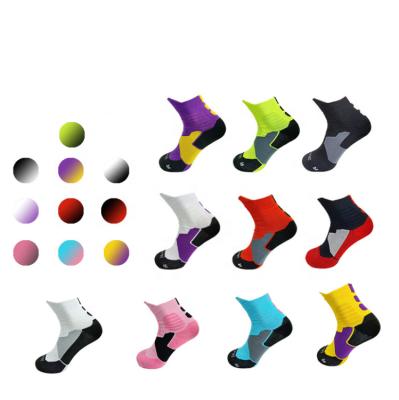 China Breathable Boys, Girls, Men, Women Crew Athletic Sport Socks Basketball Color Matching Socks for sale