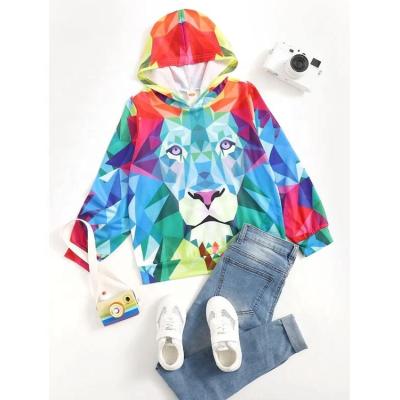 China Boys Geo and Lion Print Hoodie Oem Custom Anti-wrinkle Print Oversized Hoodie for sale