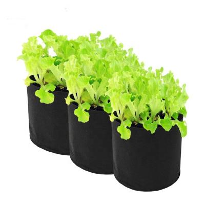 China 5 10 15 Gallon Breathable Grow Bags Heavy Duty Container Thickened Nonwoven Fabric Plant Growth Bag Plant Pots With Handles for sale