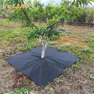 China Agricultural Cultivation Weeds Fence Around Non Woven Fruit PP Mat Fabric Mulch Spunbond Garden Weed Control For Landscaping for sale