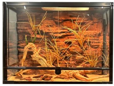 China Beauty And Safe Reptile Enclosure Background Compact DIY Reptile Terrarium Background for sale