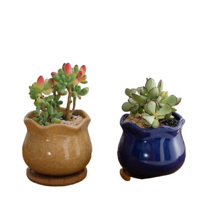 China Factory Wholesale Eco-friendly Pots For Succulent Table Ceramic Flower Pot Mini Ceramic Planter Set Hot Sale Products for sale