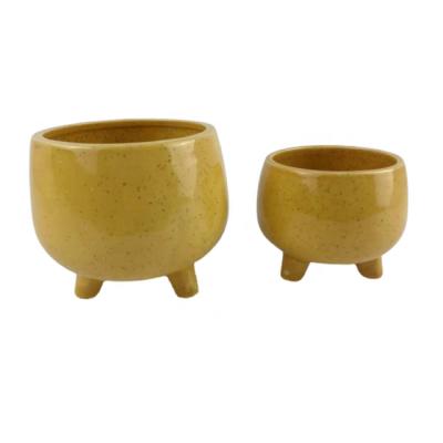 China Modern Home Use Attractive Unique Yellow Ceramic Flower Pot For Succulent Plant for sale