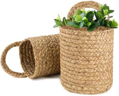 China Viable Plant Plankton Woven Storage Baskets Set of 2, Wall Hanging Baskets Organizer, Garden Planters Baskets for sale