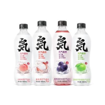 China Wholesale Sugar Free Sugar Free Erythritol Calorie Fat Free Soda Beverage with Lots of Flavors for sale