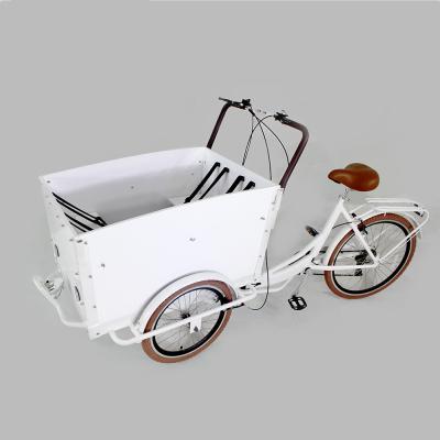 China Boom Aluminum Head COST-EFFECTIVE Electric Urban Family Motor Family 5A Cargo Bike Electric Cargo Bike Performance Motor for sale