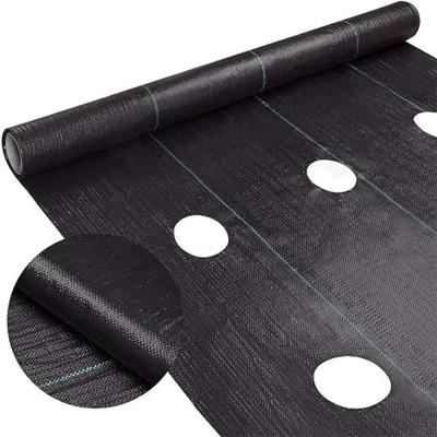 China Black Landscape Sidewalk PP Grass Fabric Heavy Duty Weed Control Mat Anti Woven Fabric With Holes for sale