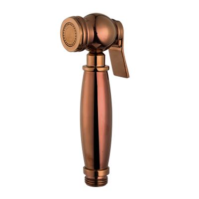 China Needle Free Rose Gold Bathroom Hand Shower Set With Flexible Hose And Holder for sale