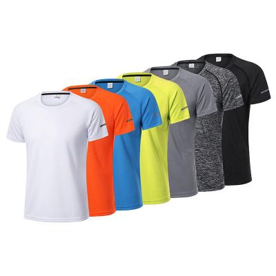 China Anti-wrinkle Shapershark Factory Wholesale Custom Logo  Mens Blank Gym Fitness T Shirts High Quality 100%cotton Quick Dry Plus Size T shirts for sale