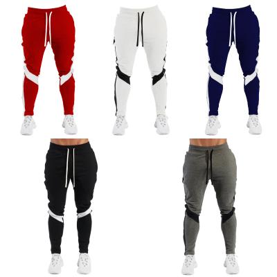 China Anti-wrinkle Shapershark Factory Men Slim Fit Gym Sports Bottoms Gym Jogging Jogger Sweatpants Straight Leg Gym  Athletic Jogger Pants for sale