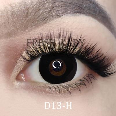 China Cool HEMA+NVP Liangguo Halloween Circle Lady Black Color Contact Lens for sale