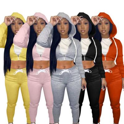 China New Style Solid Color QUICK DRY Zipper Comfy Bodycon Two Piece Hoodie Set Women's Clothing Two Piece Pants Set Women for sale