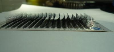 China For 100% synthetic False Strip fashion eyelashes individually packaged or private labelled for sale