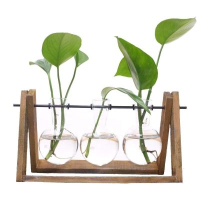 China Eco-friendly Plant Mini Greenhouse with Wooden Stand Glass Vase Holder for Home Decoration, Scindapsus Container (3 Mini Greenhouses) for sale