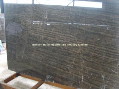 China China Coffee Veins Marble Slab, Natural Coffee Marble Slab for sale