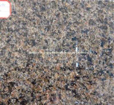 China India Gold Pearl Granite Tiles, Natural Yellow Brown Granite Tiles for sale