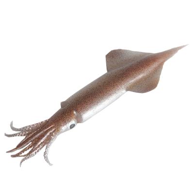 China China Simulated Squid Props Food Cuttlefish Model Squid Pen Tube Fish Model Food Barbecue Seafood Ingredients Props for sale