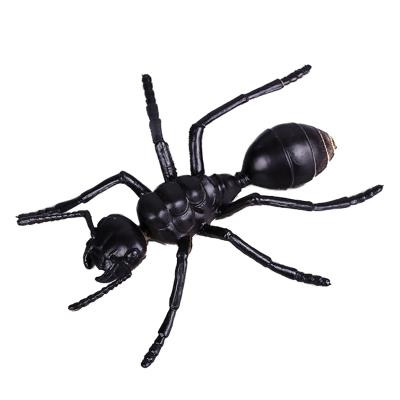 China Plastic Animal Simulation Model Educational Kids Toy Plastic Ant Toy Children Toys PVC Ant Toy Educational Large Simulation Ant for sale