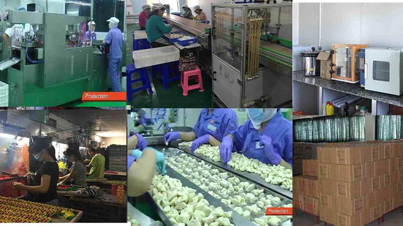 Verified China supplier - Shantou Qutong Trading Company Limited