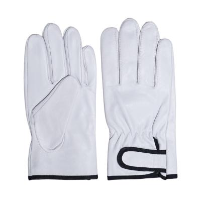 China Hand Protection Driver Goat Skin Grain Leather Gloves White Thin Soft Comfortable Hook&loop for sale