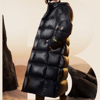 China New Breathable Winter Coat 90 Goose Down Hooded Long Warm Women's Down Jacket for sale