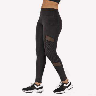 China SHINE Breathable Fashion 2021 Seamless Mesh Solid Color Women's Pants Summer Women's Yoga Leggings for sale