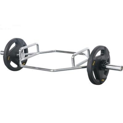 China Hex Barbell New Arrival Most Popular Hex Design Galvanized Weight Powerlifting Barbell Ez Curl Bar For Fitness for sale