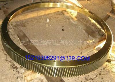 China Ruedas de engranaje fijas giratorias del laminador de los engranajes del CNC del anillo de la placa giratoria que trabajan a máquina en venta