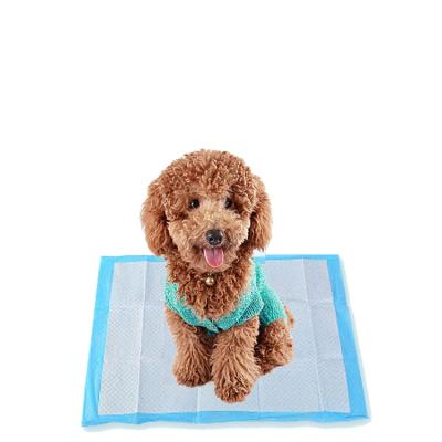 China Super Absorbent Training Stocked And Pet Puppy Pads Pee Pads Disposable Pet Potty Protection for sale