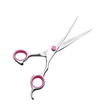 China Professional Stocked Grooming Scissors Kit For Dogs Stainless Steel Pet Hair Scissors Set Straight Pet Trimmer Pet Grooming Scissors for sale