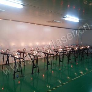 Verified China supplier - Wuhan Silver Laser Technology Co., Ltd.