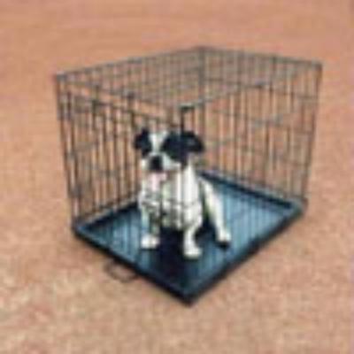 China China Sustainable Pet Supplier Dog Cage Iron Wire Teddy Cage Bold Folding Dense Net Cage for sale