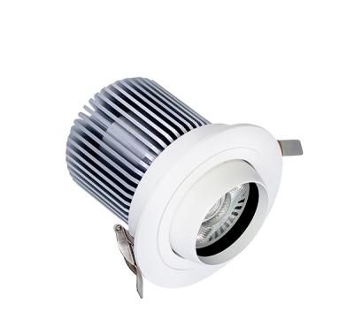 China Modern COB downlight led 100mm cut out led spotlight 30W for exhibition for sale